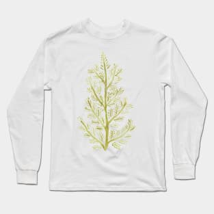 Green Fern Long Sleeve T-Shirt